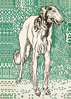 Jung: Greyhound by Moriz Jung