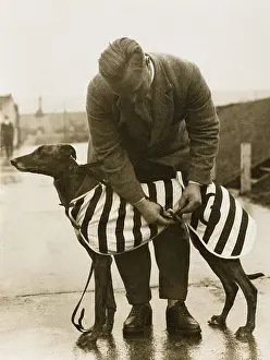 Fastens: GREYHOUND OVERCOAT