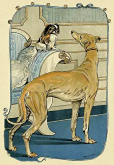 Peke: GREYHOUND AND PEKE