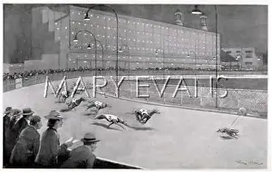 Courbevoie: GREYHOUND RACING 1936
