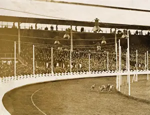 Stadiums: Greyhound racing
