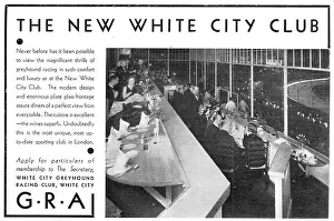 Greyhound racing and dinner at White City