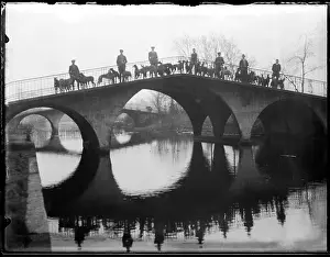 Exercised: Greyhounds on a Bridge