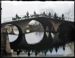 Exercised: Greyhounds on a Bridge