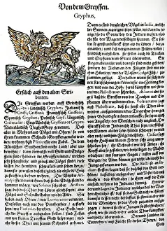 Chimera: Griffin