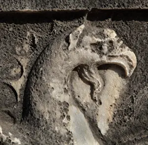 Oracular: Griffin relief, Didyma, Aydin, Turkey