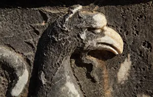 Oracular: Griffin relief, Didyma, Aydin, Turkey