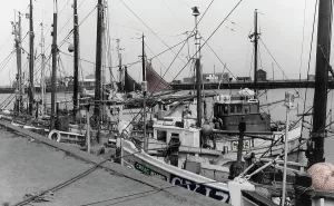 Grimsby: Grimsby, Fish Docks c1965