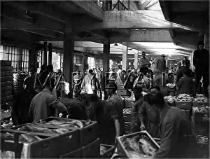 Allocation: GRIMSBY FISH MARKET