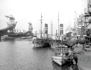 Grimsby: Grimsby, the Royal Dock c1955