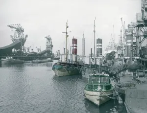 Grimsby: Grimsby, the Royal Dock c1955