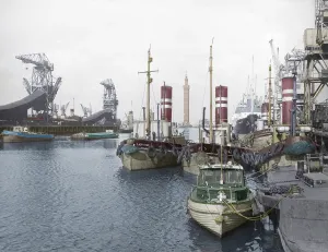 Grimsby: Grimsby, the Royal Dock c1955