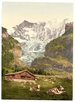 Grindelwald: Grindelwald, chalet and Vischerhorn, Bernese Oberland, Switz