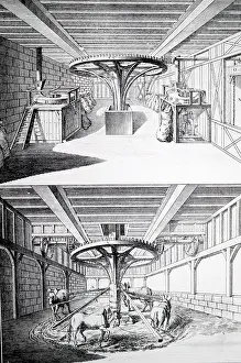 Grain: Grinding grain in a brewery. From Encyclopedie