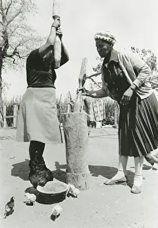 Mealies: Grinding mealies (maize), Braklaagte, Western Transvaal