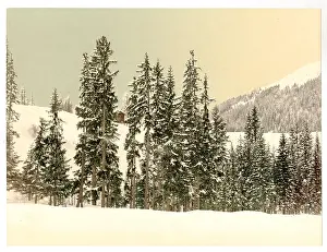 Grisons: Grisons, Switzerland, in winter