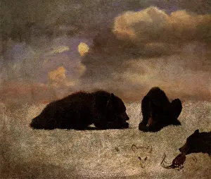Ursa: Grizzly Bears