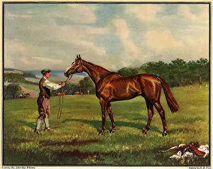 Contenders: Groom and Easter Hero