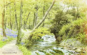 Groudle: Groudle Glen, Isle of Man