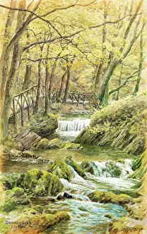 Groudle: Groudle Glen, Isle of Man