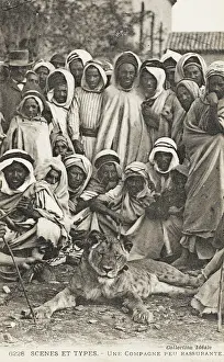 Reassuring: Group of Algerian men and tame Lion