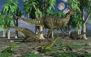 Iguanodont: A group of Altirhinus dinosaurs