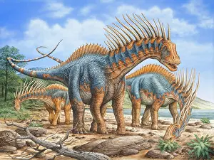 Amargasaurus: A group of Amargasaurus dinosaurs grazing on the shoreline