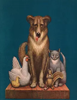 Stoop: Group of Animals