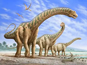 Overhead: A group of Argentinosaurus dinosaurs, with Ornithocheirus