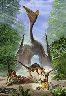 Nodosaurid: A group of Balaur bondoc dinosaurs fight for the corpse of ?