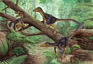 Alertness: A group of Balaur bondoc in a prehistoric environment