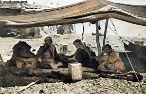 Bedouins: Group of Bedouins in their tent, Holy Land