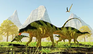 Pteranodon: A group of Brachytrachelopan dinosaurs grazing