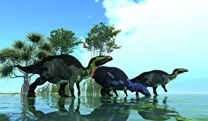 Shallow: A group of Camptosaurus dinosaurs in a swamp