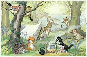 A group of cats go camping in the woods