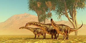 Cabbage: A group of Diamantinasaurus dinosaurs standing
