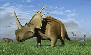 Styracosaurus: Group of dinosaurs grazing in a grassy field