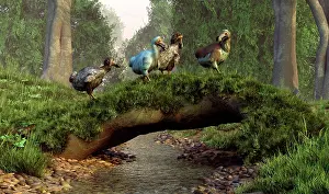 Pigeon: A group of Dodo birds crossing a natural bridge over a ?