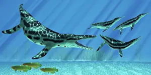 Kronosaurus: A group of Dolichorhynchops try to escape from a huge ?