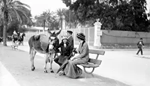 Poss: Group with donkey