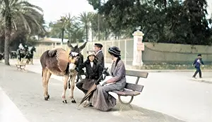 Poss: Group with donkey