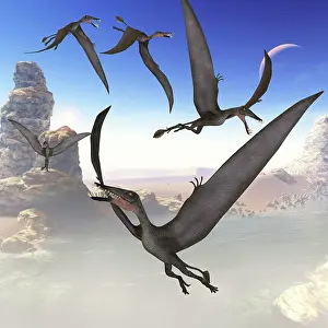 Boulder: A group of Dorygnathus predatory reptiles fly above a ?