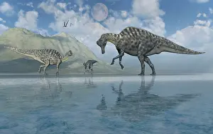 Shallow: A group of duckbill Velafron dinosaurs from the