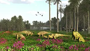 Paleogeography: A group of Edmontosaurus hadrosaurs grazing the