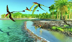 Pterodactylus: A group of Eudimorphodons searching for fish along