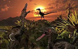 Howling: A group of feathered carnivorous Velociraptors from the ?