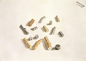 Echinoderm: A group of fragments of fossil crinoids