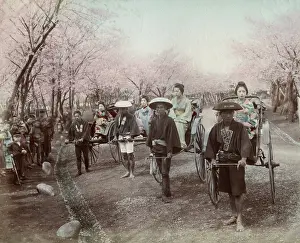 Rickshaws: A group of geishas in rickshaws in a Japanese park