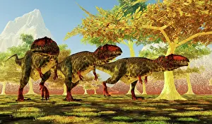 Carcharodontosaurid: A group of Giganotosaurus dinosaurs on the move
