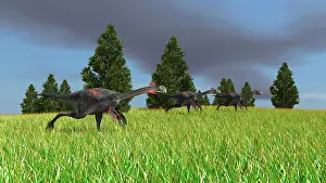 Savanna: Group of Gigantoraptors running across an open field